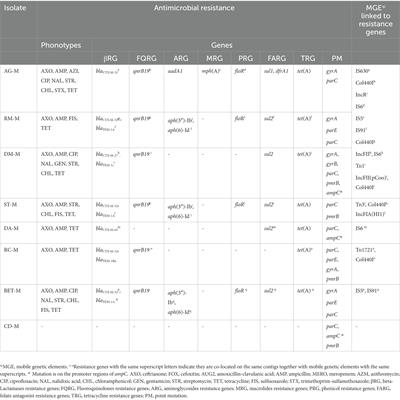 Molecular epidemiology and pathogenomics of extended-spectrum beta-lactamase producing- Escherichia coli and - Klebsiella pneumoniae isolates from bulk tank milk in Tennessee, USA